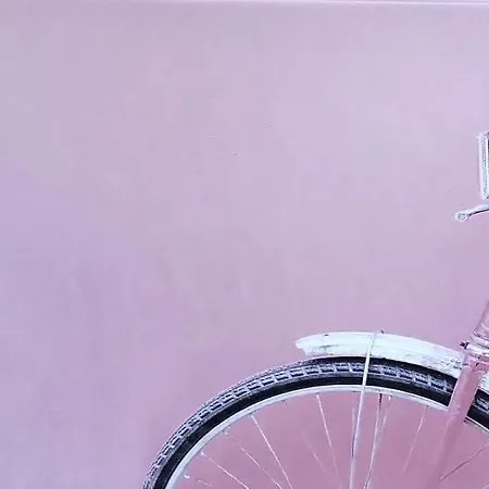 Ben Ti Voglio Al Vaticano *